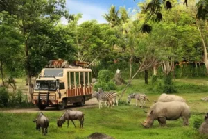 Taman Safari Indonesia 1